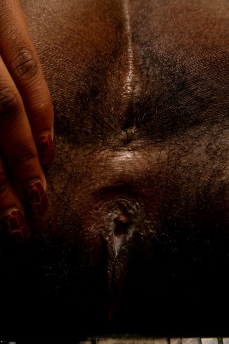 Black Bbw Rough hot porn img